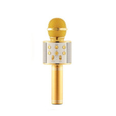 Мікрофон WS-858 WSTER GOLD