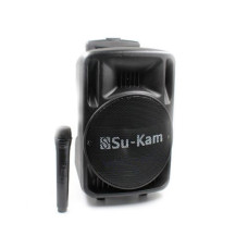 Колонка Su-Kam BT 100D (1 мікрофон, 12В/220В)