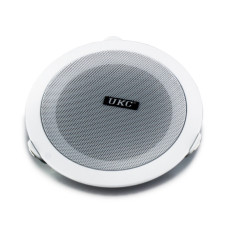 Стельові динаміки (колонки) CS 5500