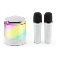 Міні-дитяче караоке з підсвічуванням RGB K19 (2 мікрофони)